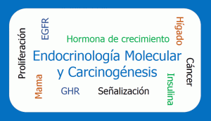 endocrinologia-molecular-y-carcinogenesis