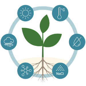 avatar-mtabolismo nitrogenado y respuesta al estres abiotico en plantas