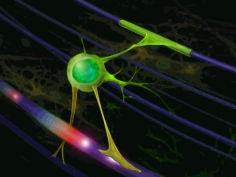 LOGO Pasquini LA Grupo